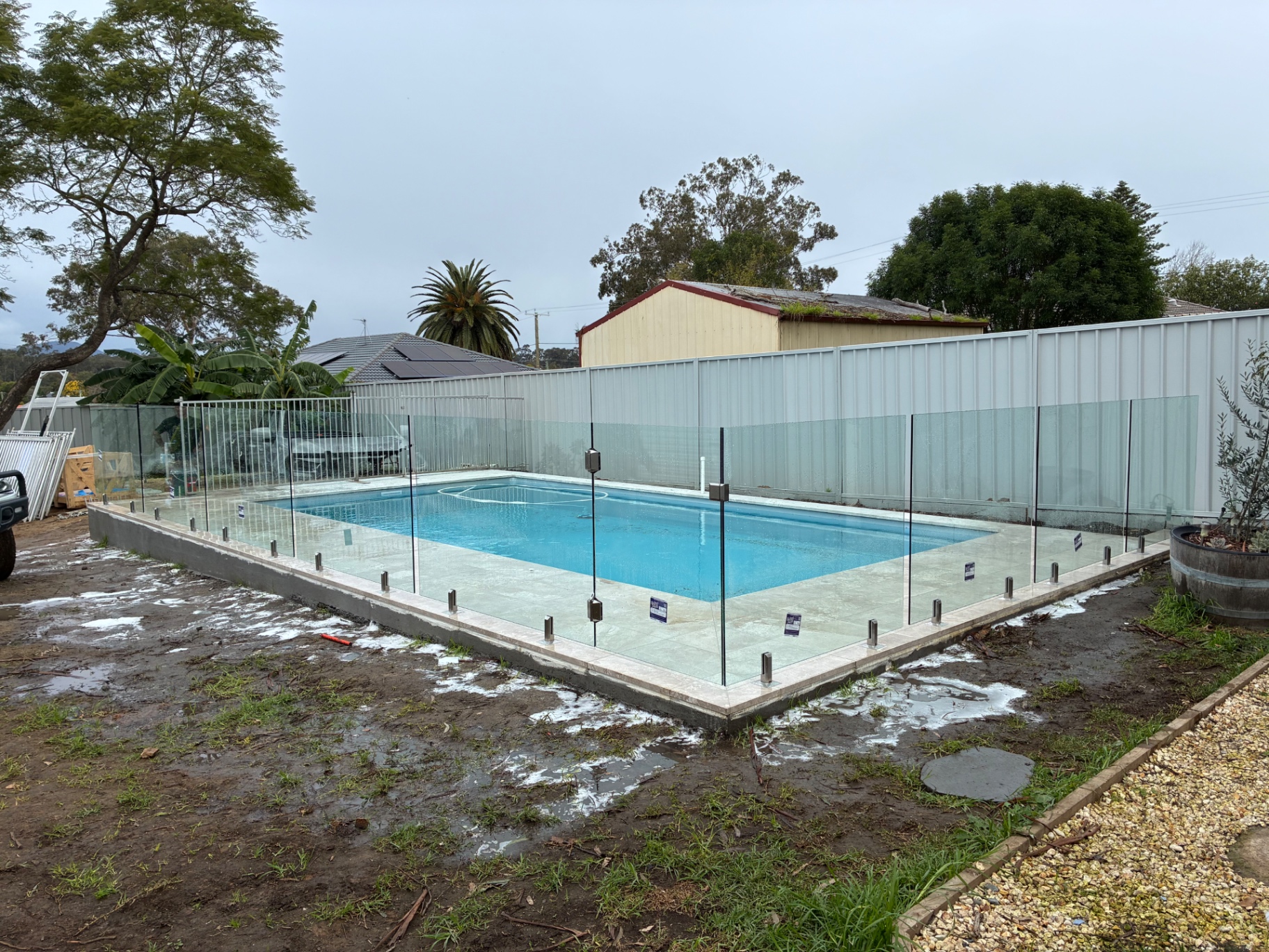 Large frameless glass pool fence in a backyard